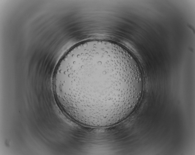 X0000103461283200809121049