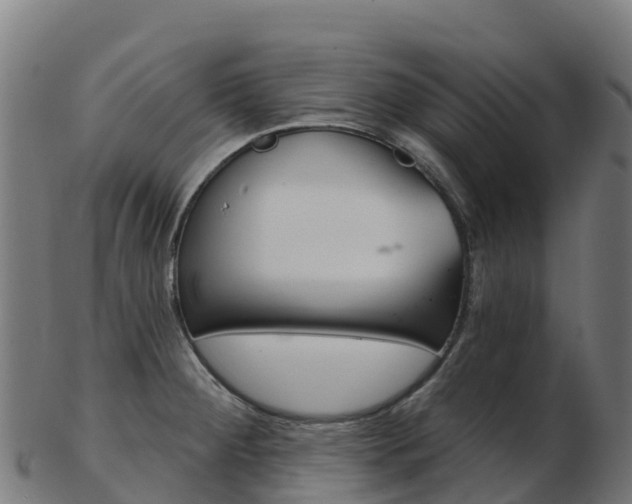 X0000103461284200809121049