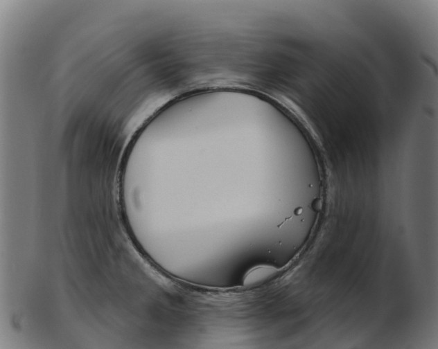 X0000103461285200809121049