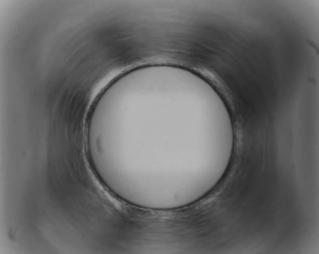 X0000103461286200809121049