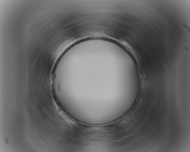 X0000103461287200809121049