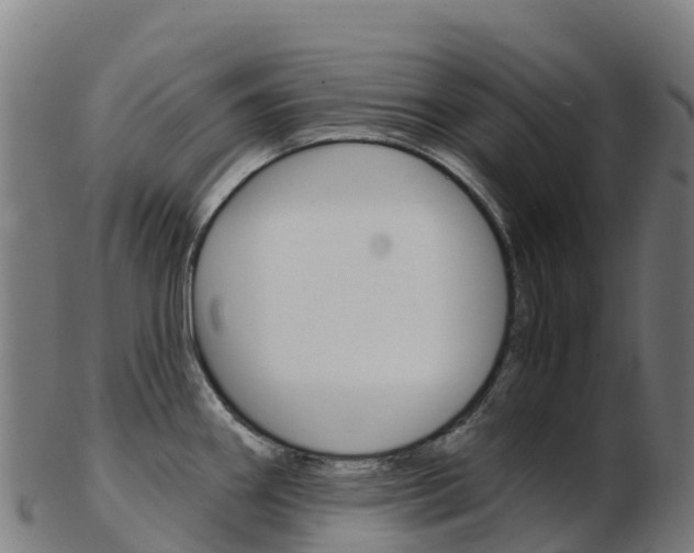 X0000103461290200809121049