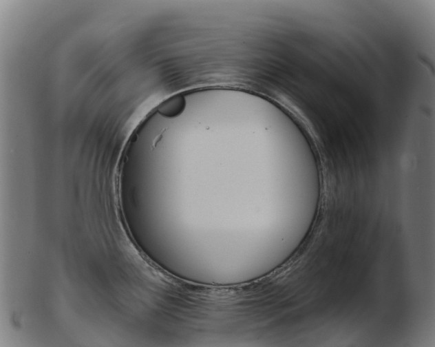 X0000103461291200809121049