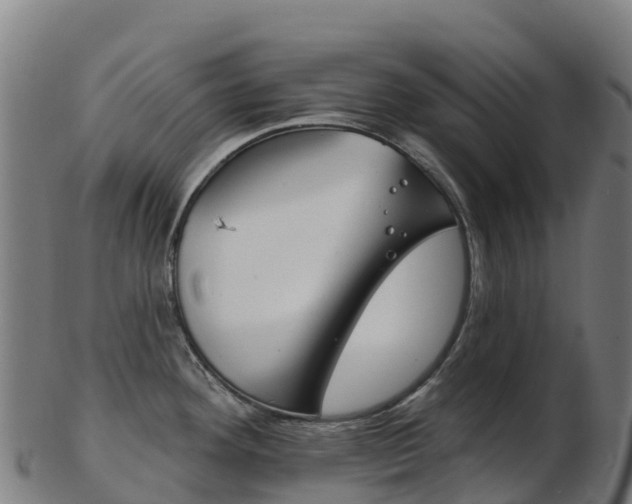 X0000103461292200809121049
