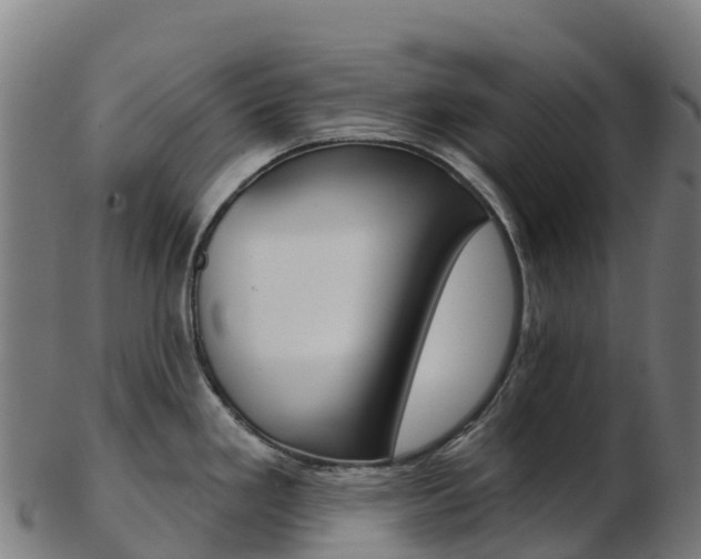 X0000103461293200809121049
