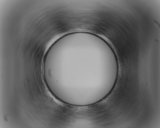 X0000103461294200809121049