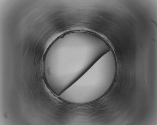 X0000103461295200809121049