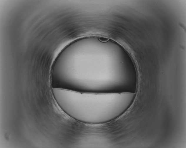 X0000103461296200809121049