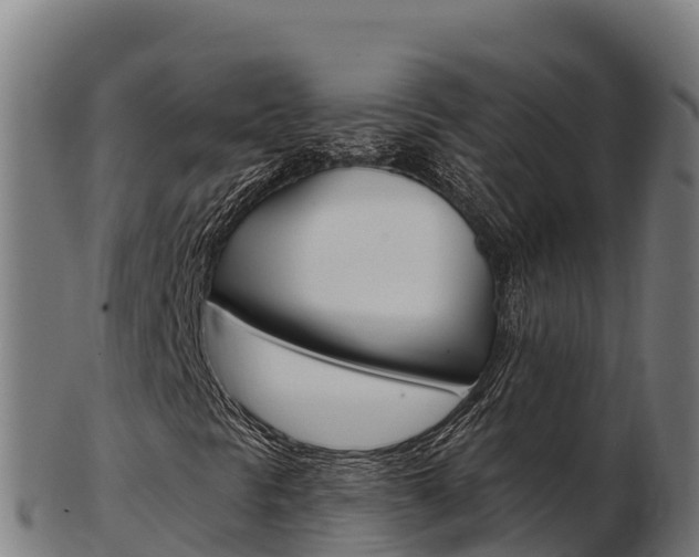 X0000103461297200809121048