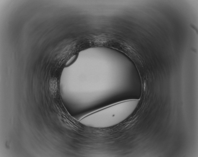 X0000103461299200809121048