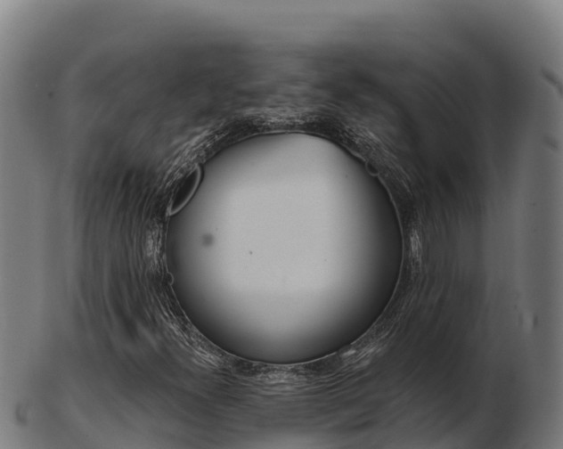 X0000103461300200809121048