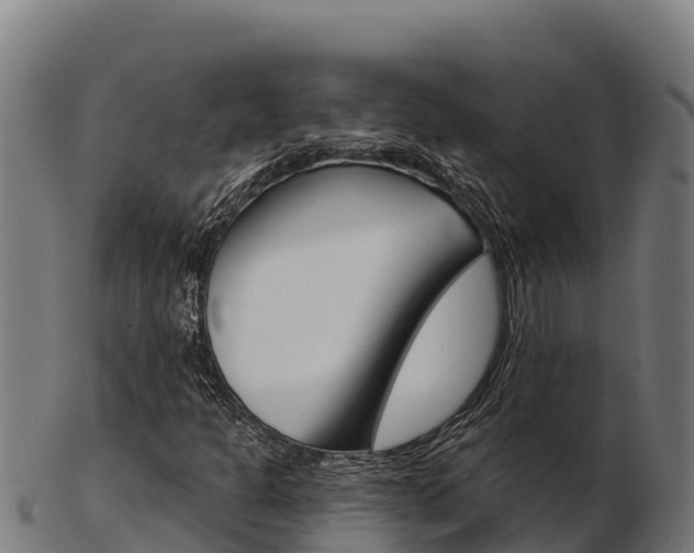 X0000103461301200809121048