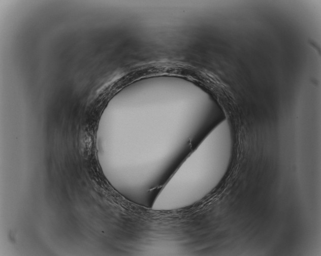 X0000103461302200809121048