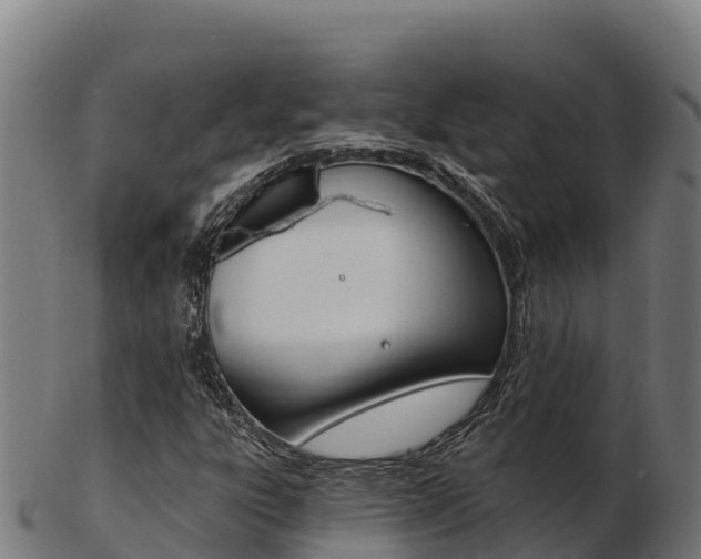 X0000103461303200809121048