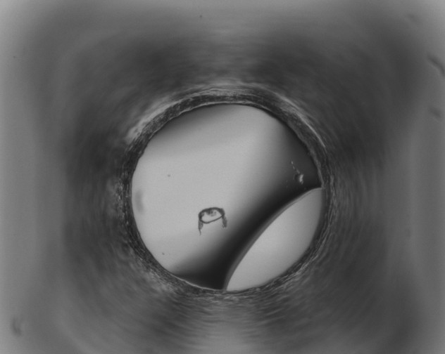 X0000103461304200809121048
