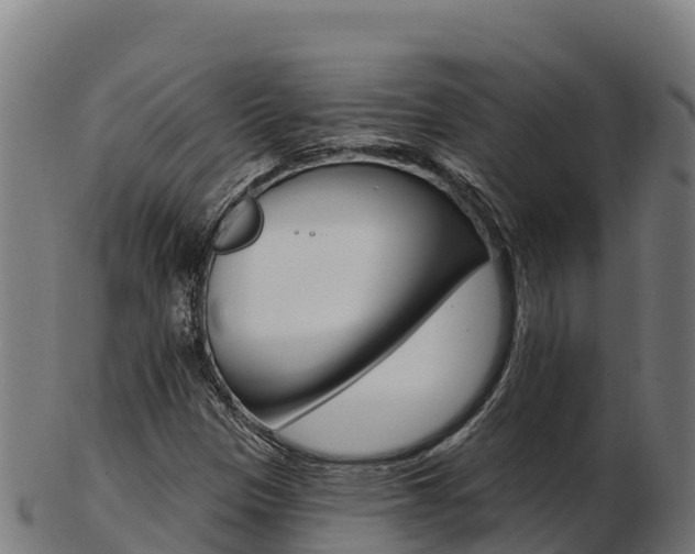 X0000103461305200809121048