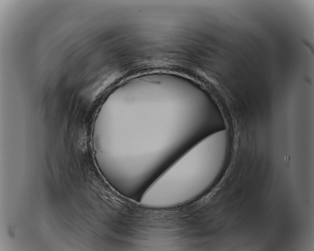 X0000103461306200809121048