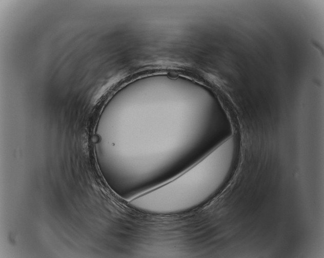 X0000103461307200809121048