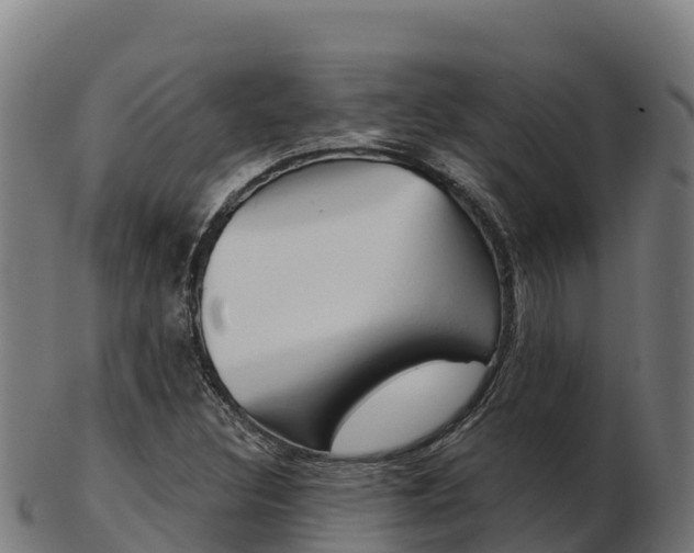 X0000103461308200809121048