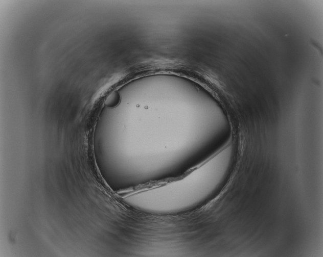 X0000103461309200809121048