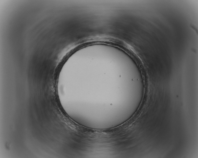 X0000103461312200809121048