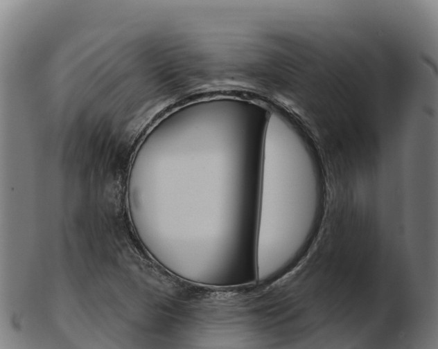 X0000103461313200809121048