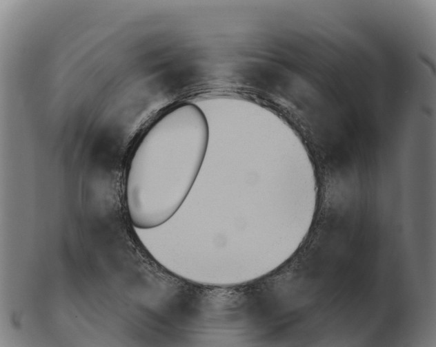X0000103461314200809121048