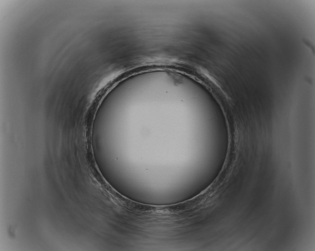 X0000103461315200809121048