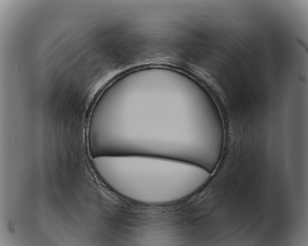 X0000103461316200809121048