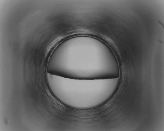 X0000103461318200809121048