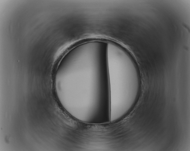 X0000103461319200809121049