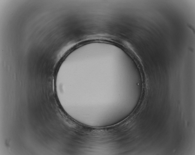 X0000103461320200809121049