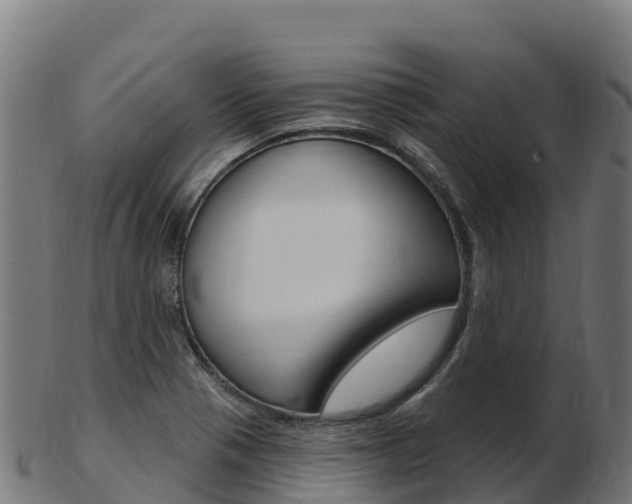 X0000103461321200809121049