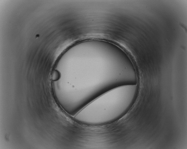 X0000103461325200809121049