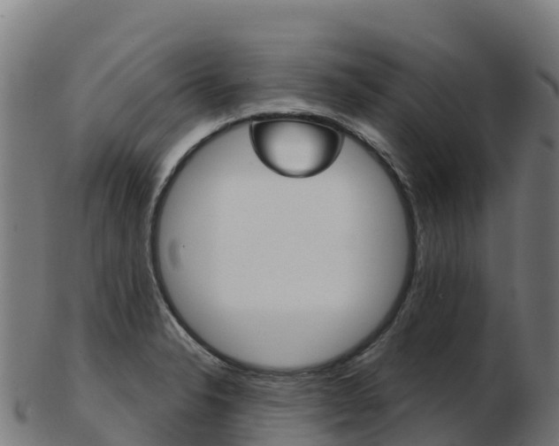 X0000103461326200809121049