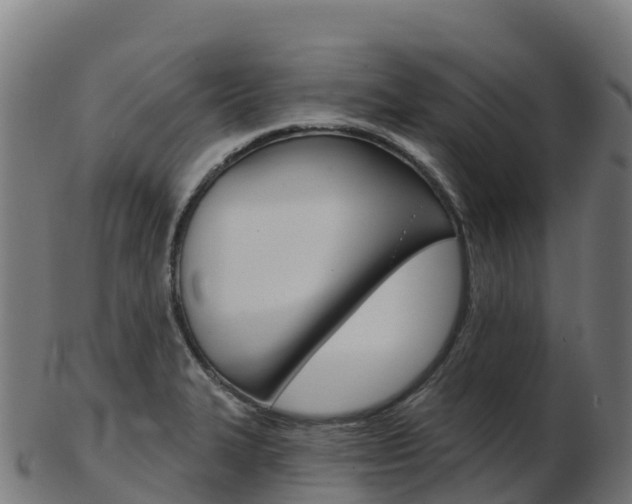 X0000103461327200809121049