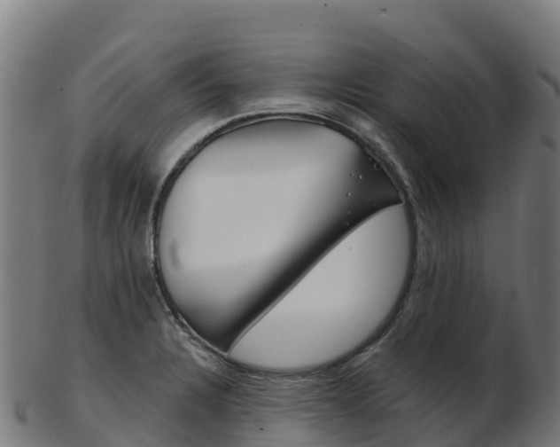 X0000103461328200809121049