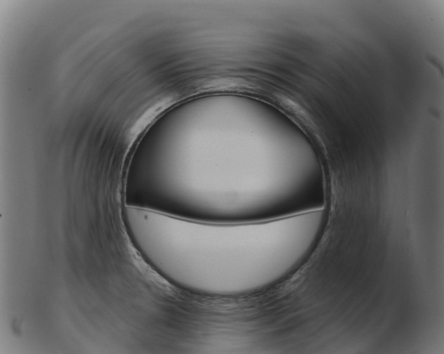 X0000103461330200809121049