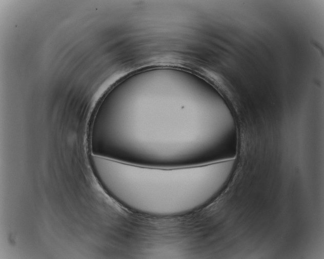 X0000103461331200809121049