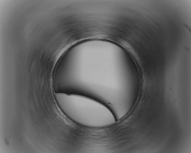 X0000103461332200809121049