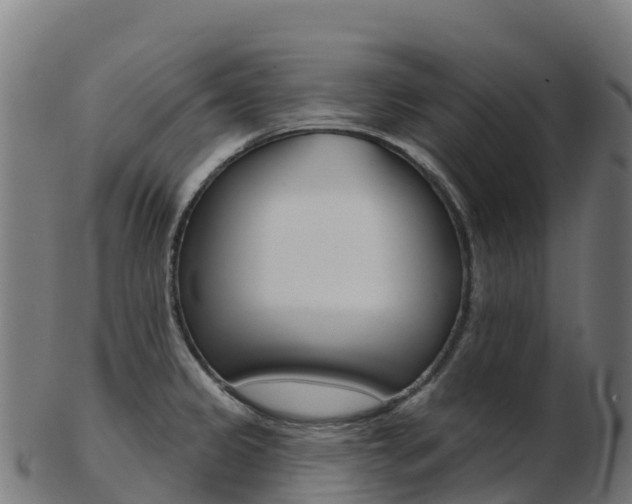 X0000103461333200809121049