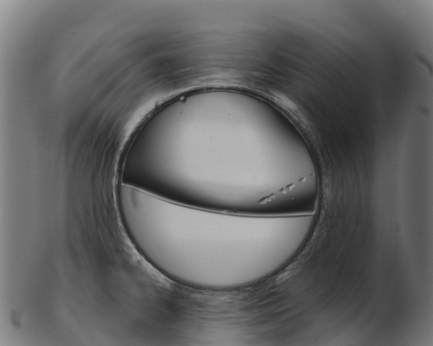 X0000103461334200809121049