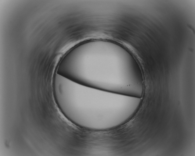 X0000103461335200809121049