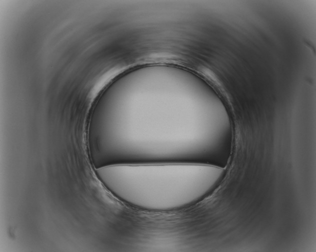 X0000103461336200809121049