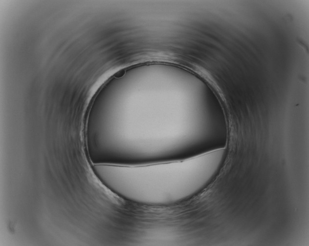 X0000103461339200809121049