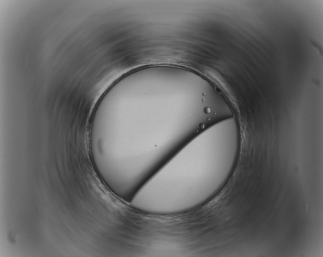 X0000103461340200809121049
