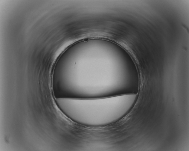 X0000103461342200809121049