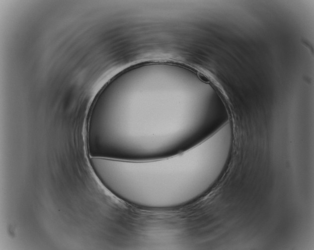 X0000103461343200809121049