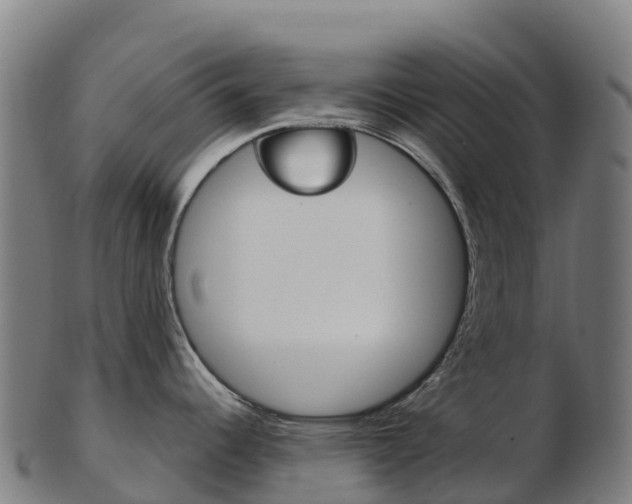 X0000103461344200809121049