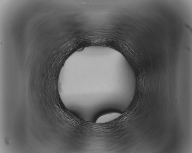 X0000103461345200809121048